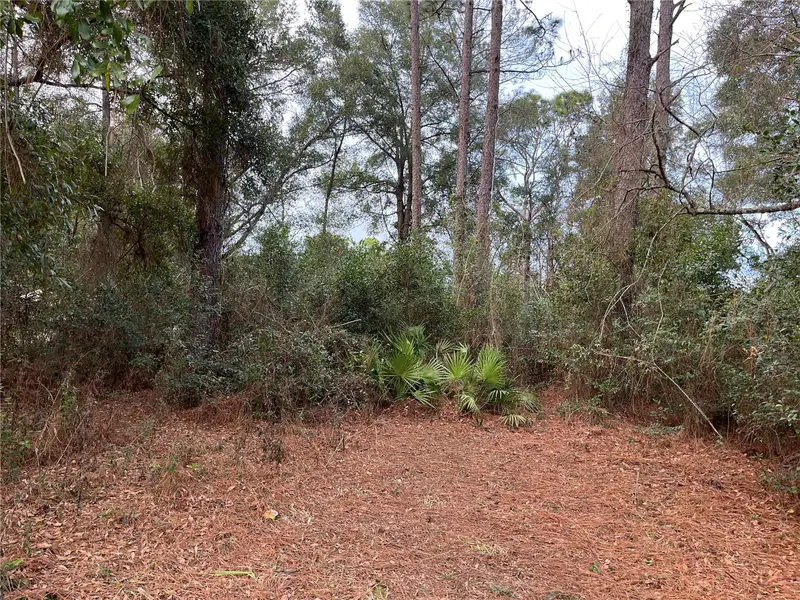 Nw 20th St, FL