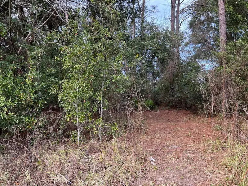 Nw 20th St, FL