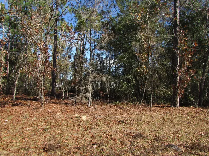 Lot 18 Sw 156 St, FL