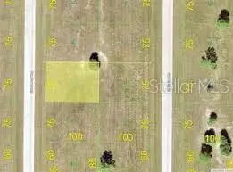 24 Chinaberry Way, FL