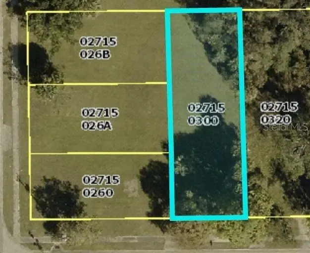 2717 Pastor James A Bing Way, FL