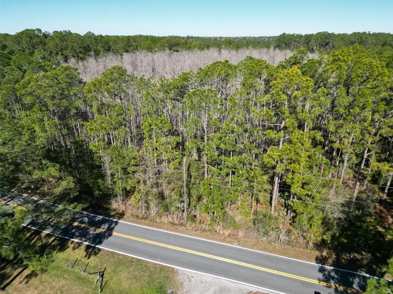 Green Pond Rd, FL