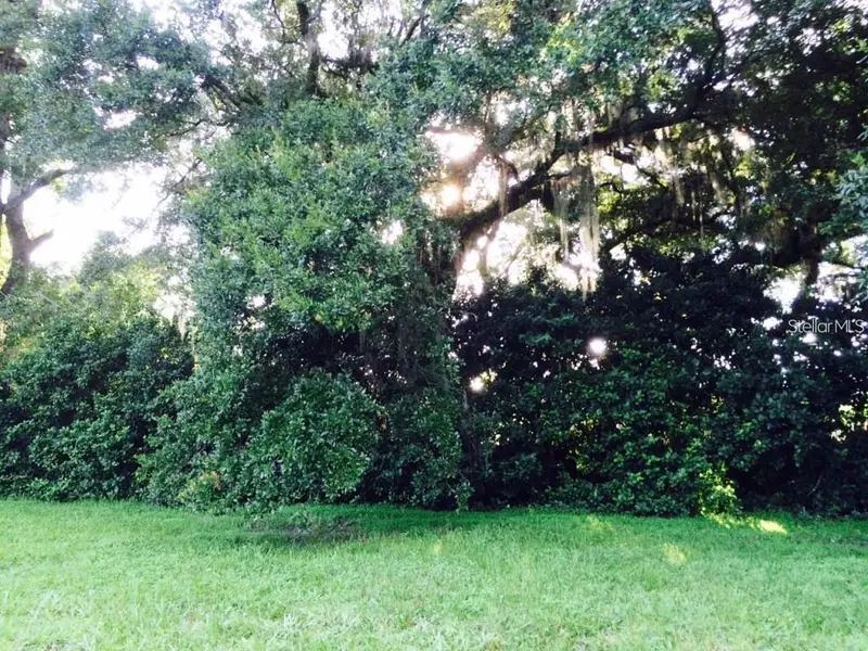 111 Frederick St, FL