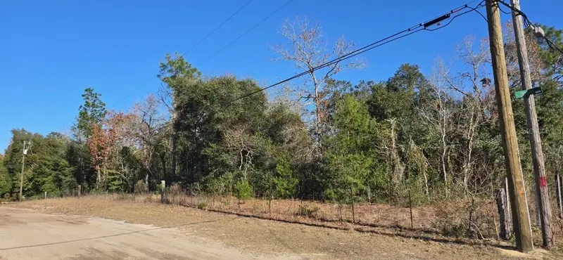 7195 Gas Line Rd, FL