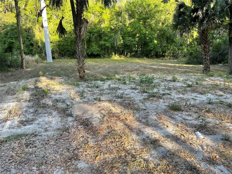 Park Ave, FL