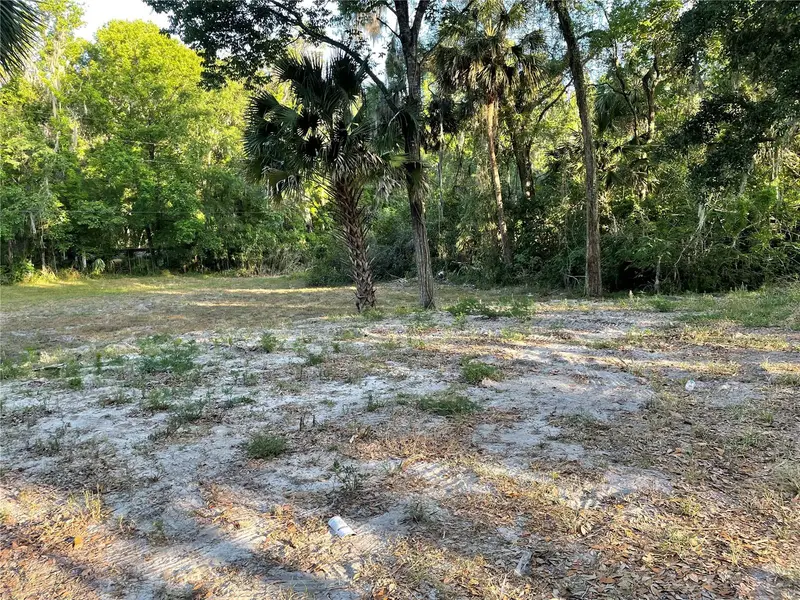 Park Ave, FL