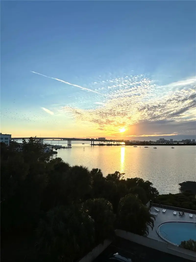 500 N Osceola Ave #502, FL
