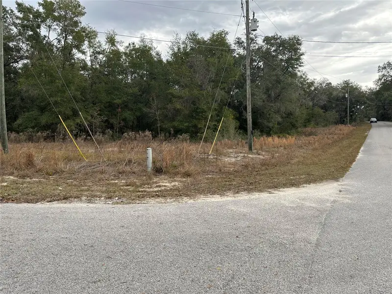 Sw Shorewood Dr, FL