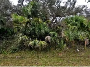 Ocarina Rd, FL