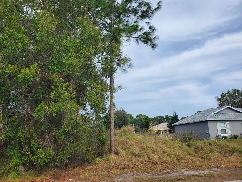 1009 Sw Castaneda Ln, FL