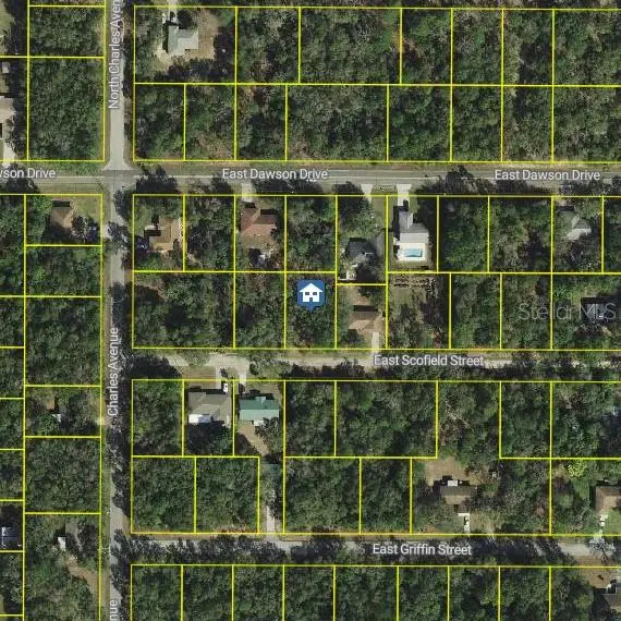 3061 E Scofield St, FL