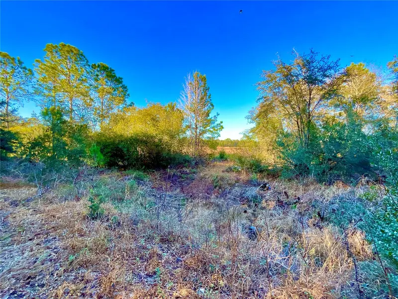 Tbd Lakeview Way, FL