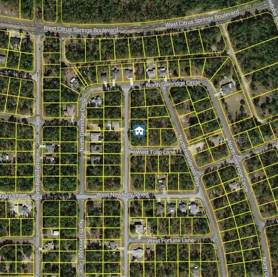 647 W Tulip Ln, FL