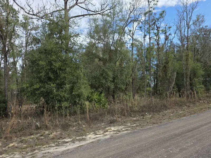 Sw 141st Ct, FL