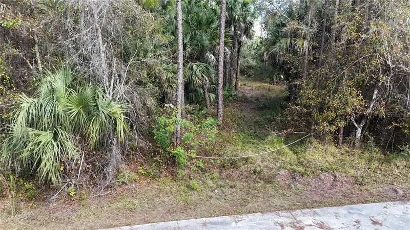 16th Ave Se, FL