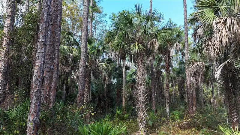 16th Ave Se, FL
