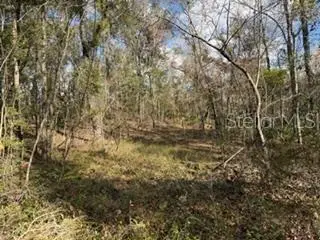 BELL, FL