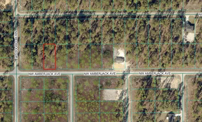 Nw Amberjack Ave, FL