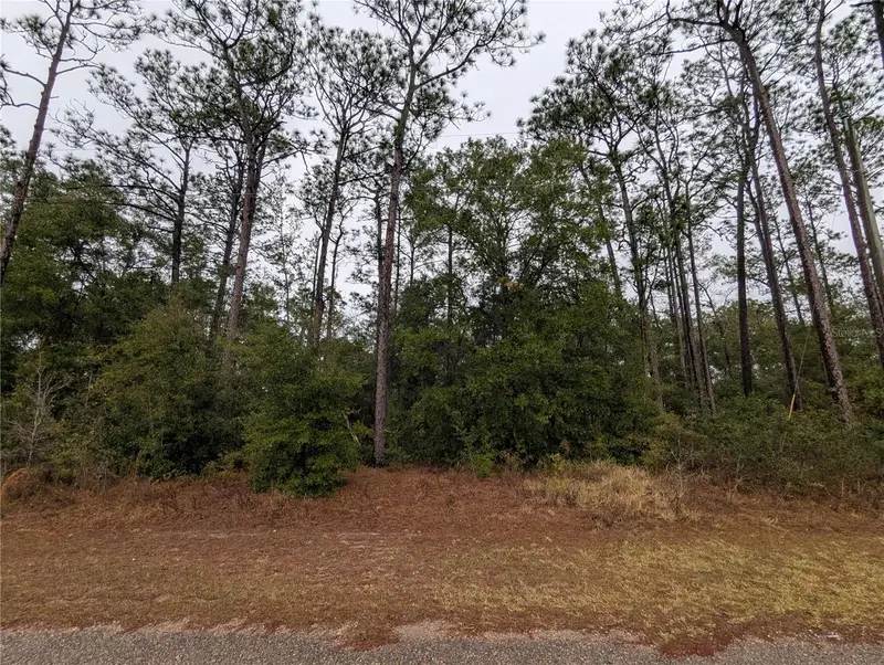 2737 W Blink Dr, FL