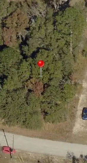 Tbd N Pine Radial Rd N #16, FL