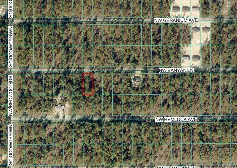 Nw Banyan Ln, FL