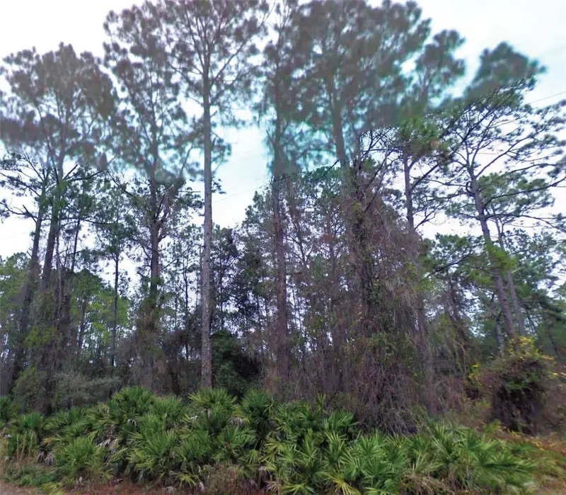 Ne 66th Ave, FL