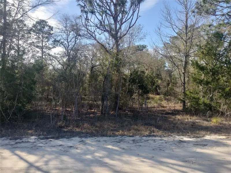 Se 137th Ct, FL