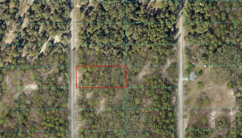 Tbd Sw Breezy Point Dr, FL