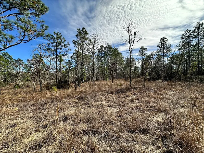 Tbd Ne 150th Ct, FL