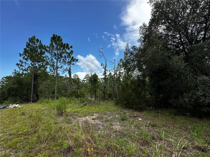 Tbd Ne 16th Ln, FL