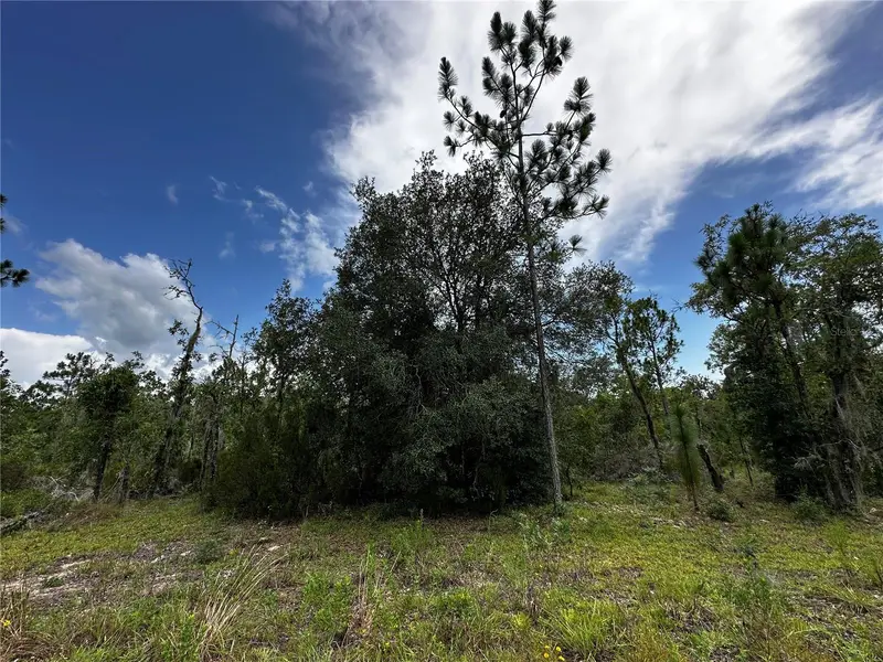 Tbd Ne 16th Ln, FL