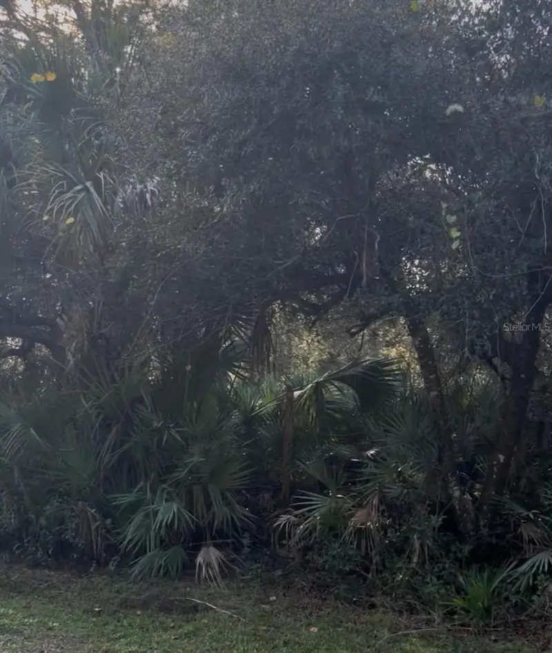 00 Dill Rd, FL