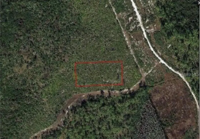 00 Dill Rd, FL