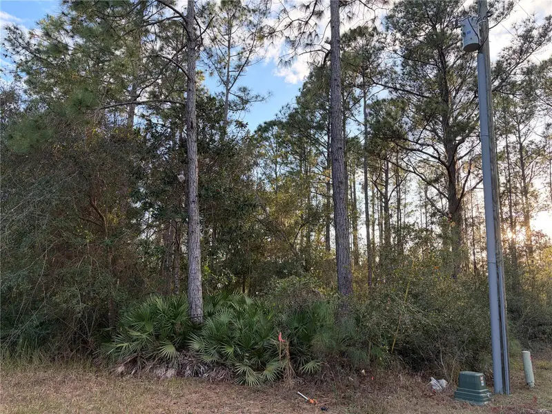 Oil Well Rd, FL