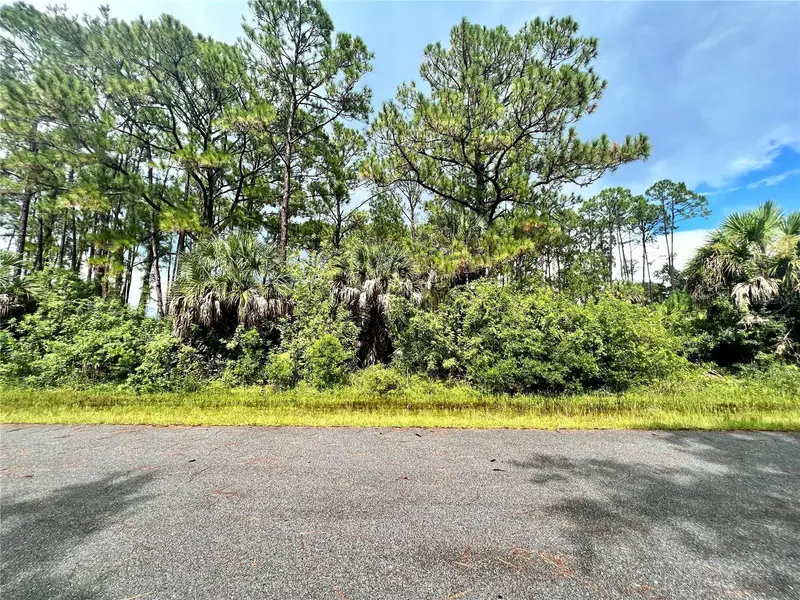 420 Bonsell Ln, FL