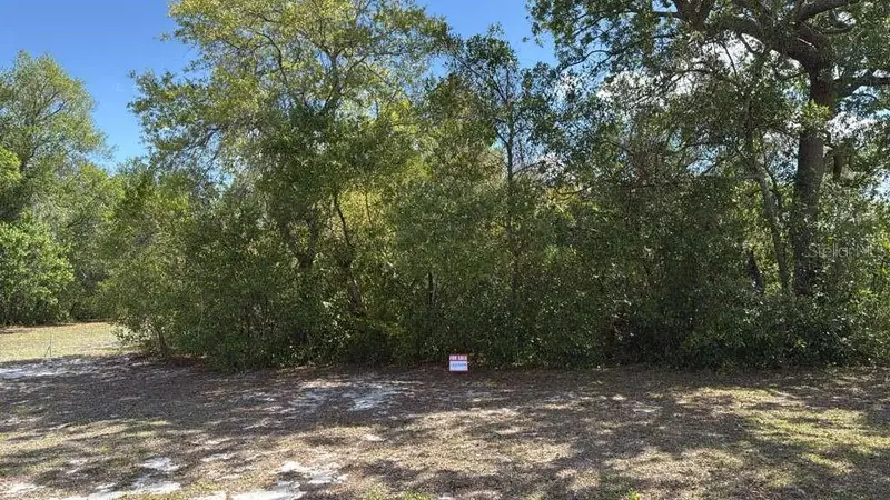 1105 Grapefruit Ave, FL