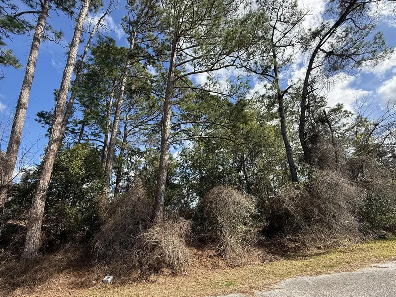 Tbd Se 190th Avenue, FL