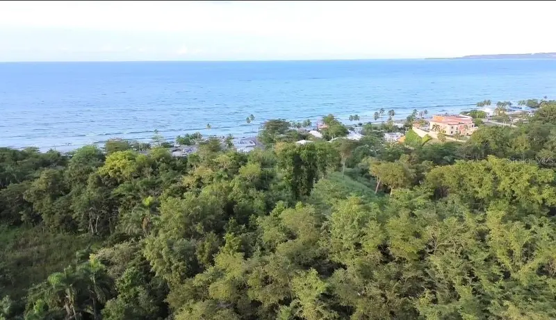 Palmar Novoa, PR