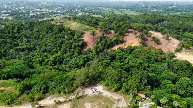 Palmar Novoa, PR