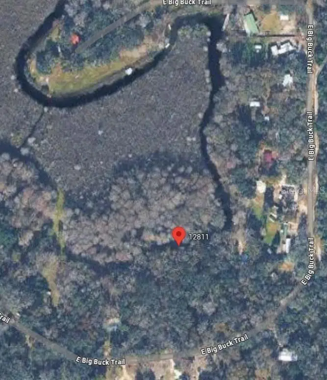 12811 E Big Buck Trl, FL