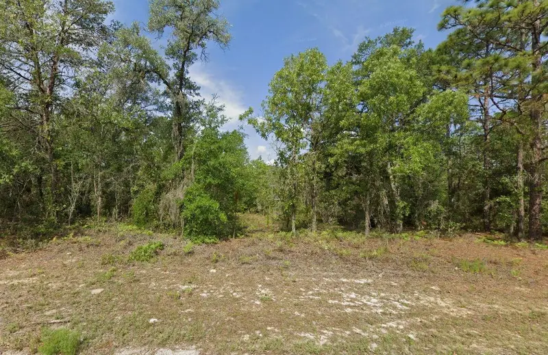 6502 N Matheson Dr, FL