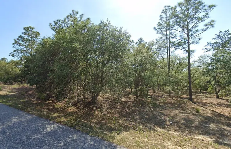 6004 N Darlington Dr, FL