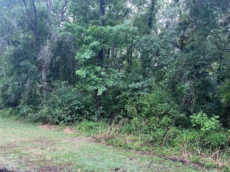 Sharon St, FL