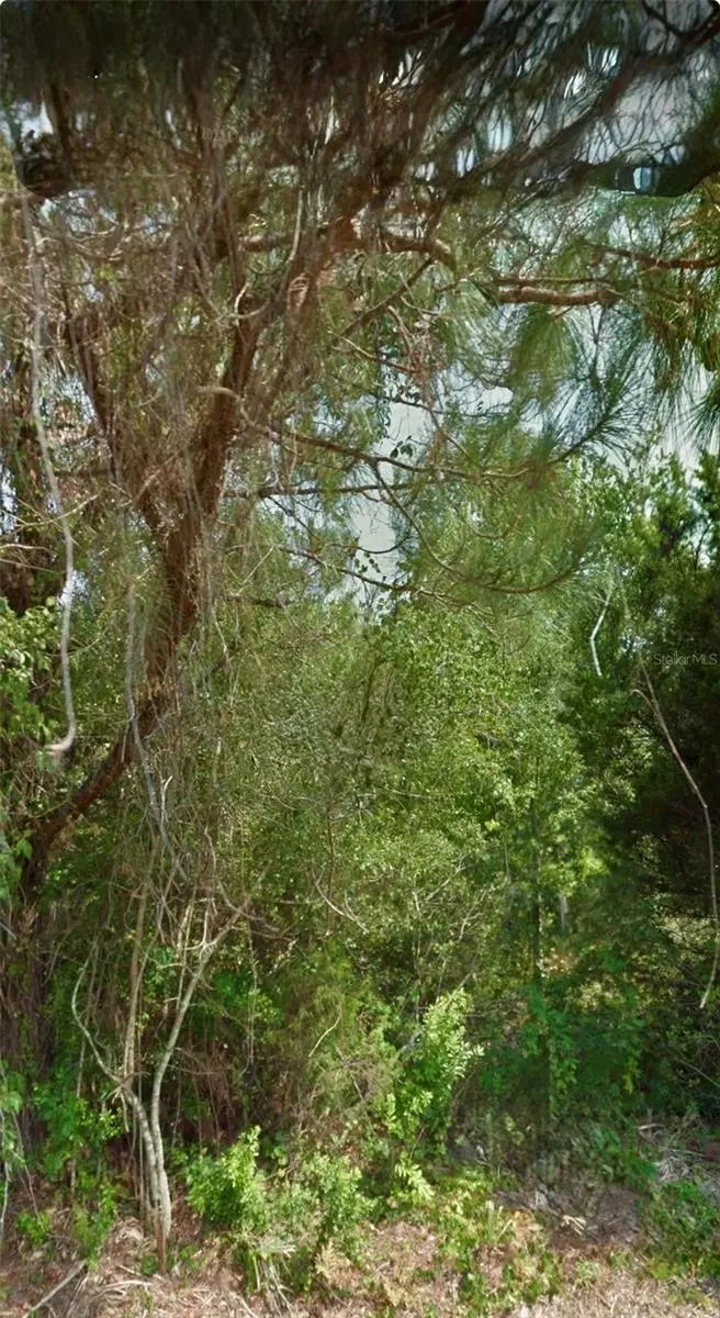 12 Selma Trl, FL