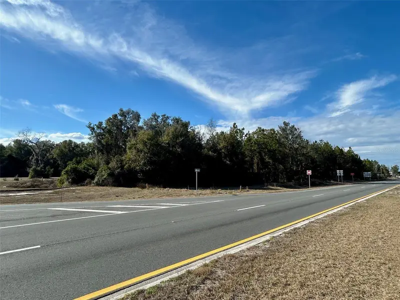 Tbd Us Hwy 19 (N Young Blvd), FL
