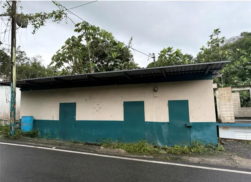 Carr. 344, Km. 1.6 Bo. Jaguitas, PR