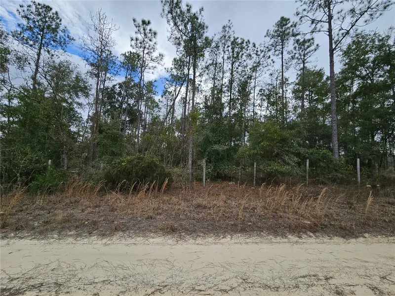 Tbd Ne 45th St, FL