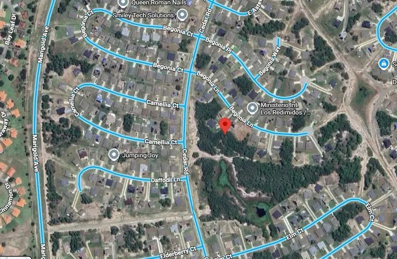 224 Begonia Ln, FL