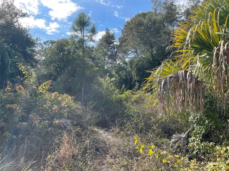 Abate Ave #Lot 10, FL