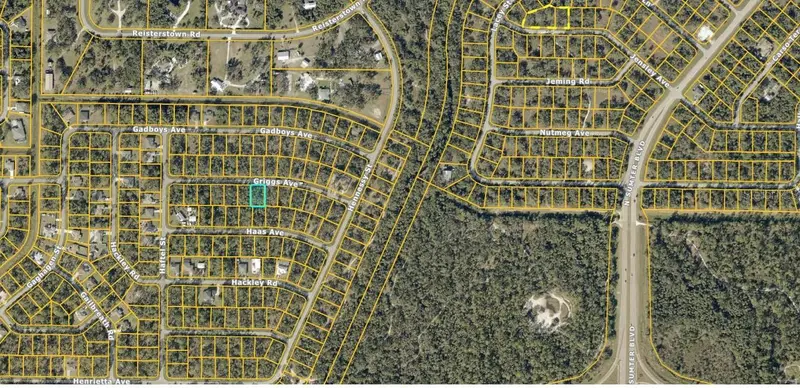 Griggs Ave, FL